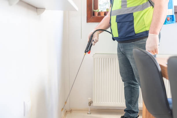 Reliable North Scituate, MA Pest Control Solutions