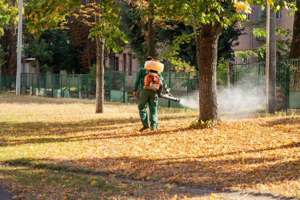 Best Affordable Pest Control Services  in North Scituate, MA