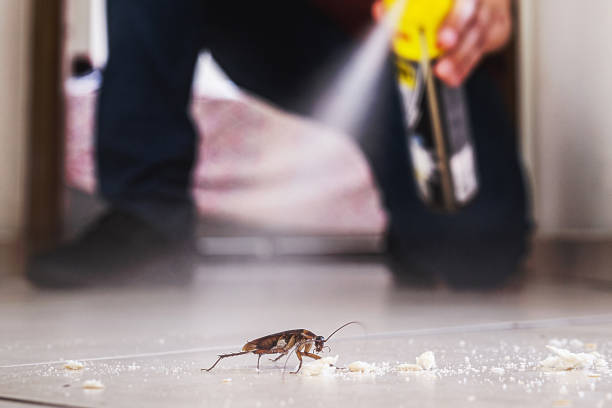Best Best Pest Control Companies  in North Scituate, MA
