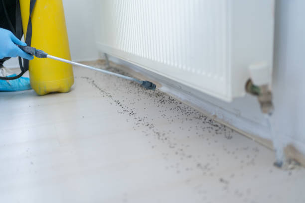Pest Control Cost in North Scituate, MA