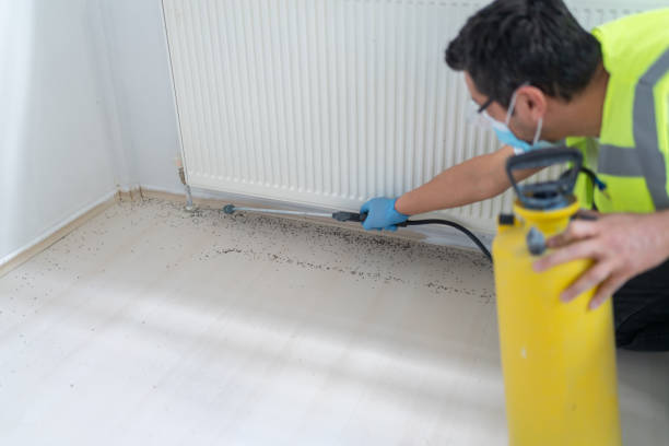 Best Pest Control Cost  in North Scituate, MA