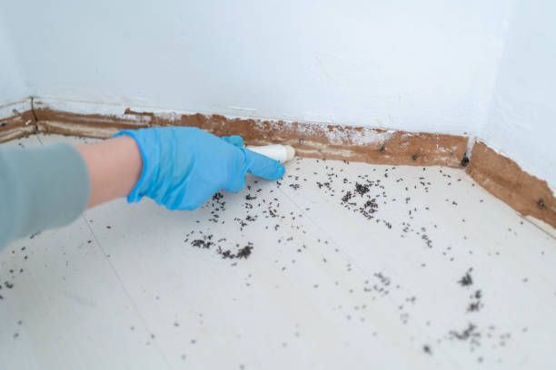 Best Pest Control for Businesses  in North Scituate, MA